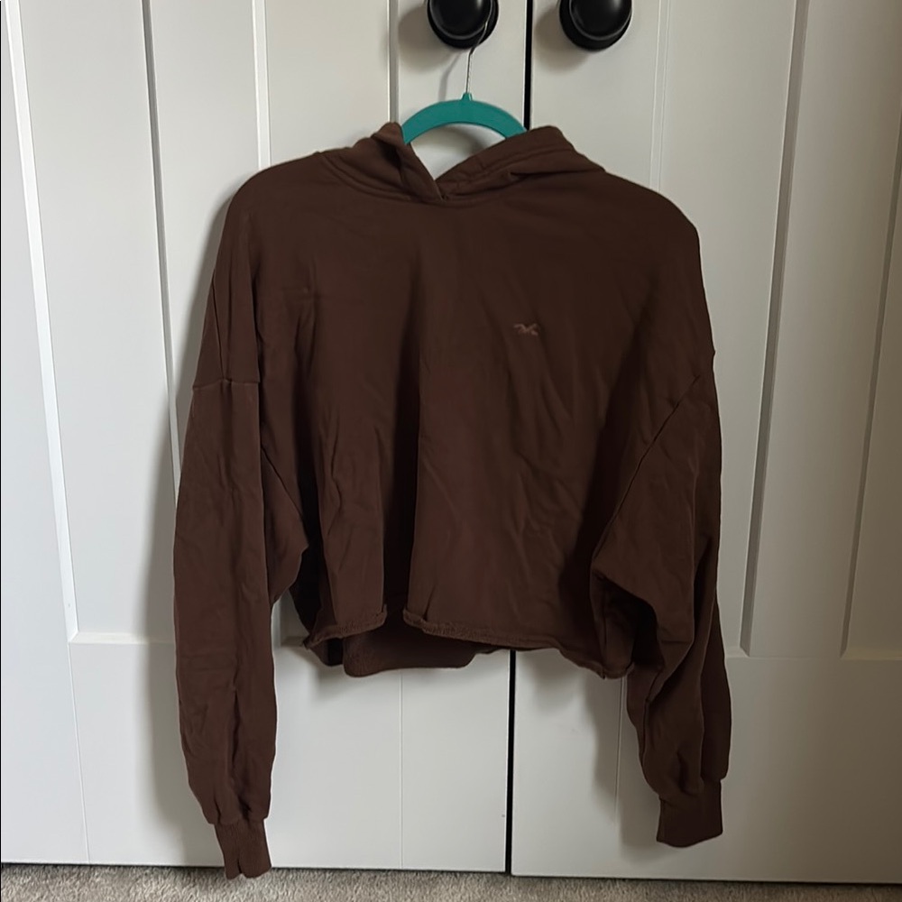 Hollister Brown Hoodie